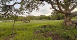 Vacant Land for Sale in The Rest Nature Estate