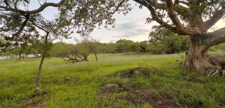 Vacant Land for Sale in The Rest Nature Estate