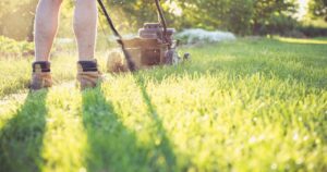 How to Create a Low-Maintenance Garden: Tips for Effortless Outdoor Beauty