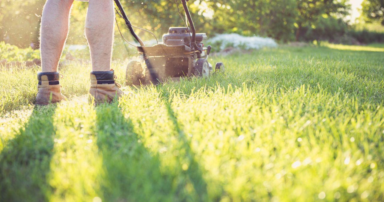 Blog 112 How to Create a Low-Maintenance Garden for Your Property